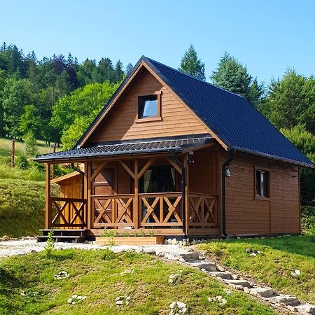 Chata Rafusa Pod Snieznikiem สโตรเนีย ชล็องสเกีย ภายนอก รูปภาพ