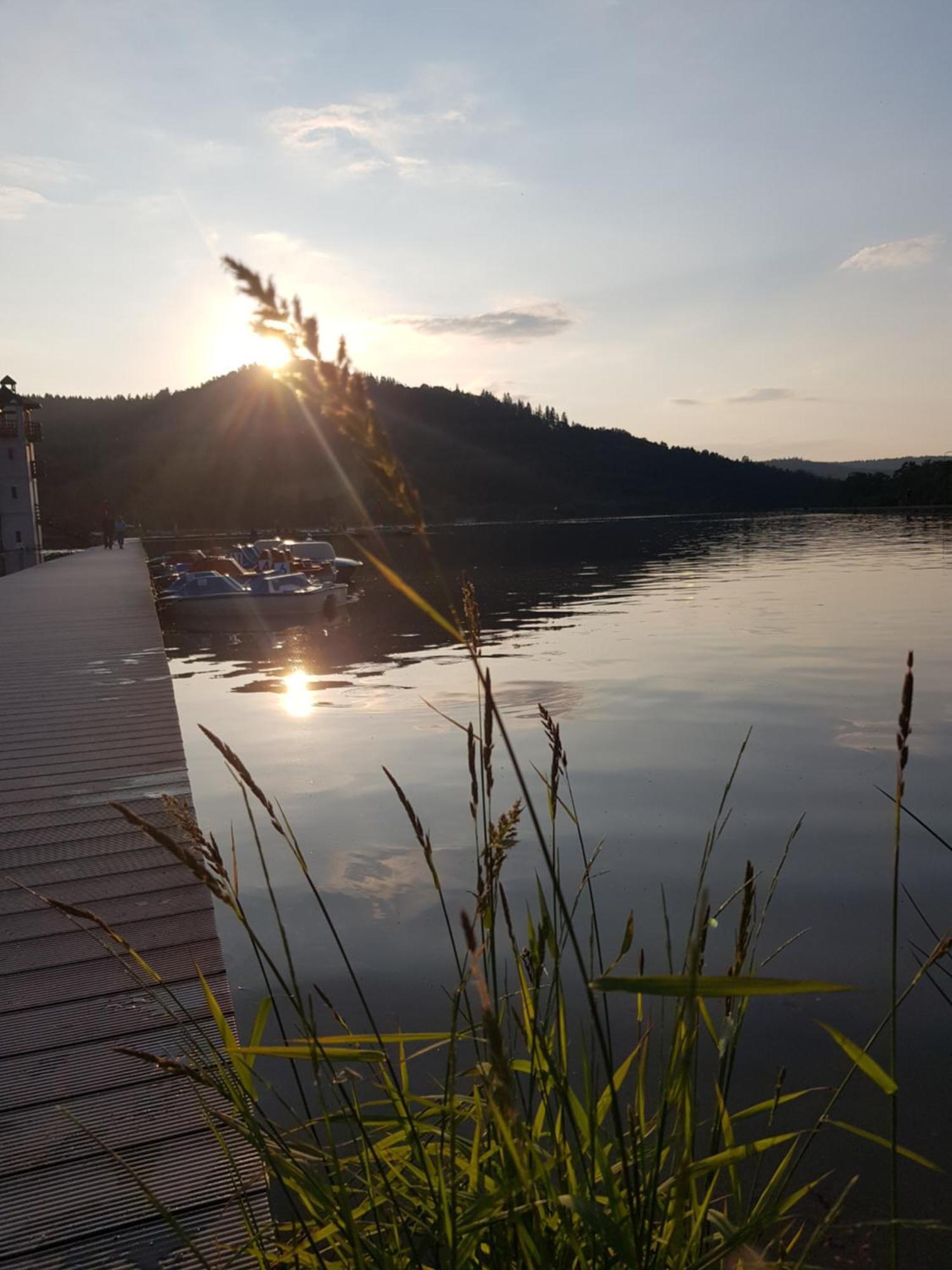 Chata Rafusa Pod Snieznikiem สโตรเนีย ชล็องสเกีย ภายนอก รูปภาพ