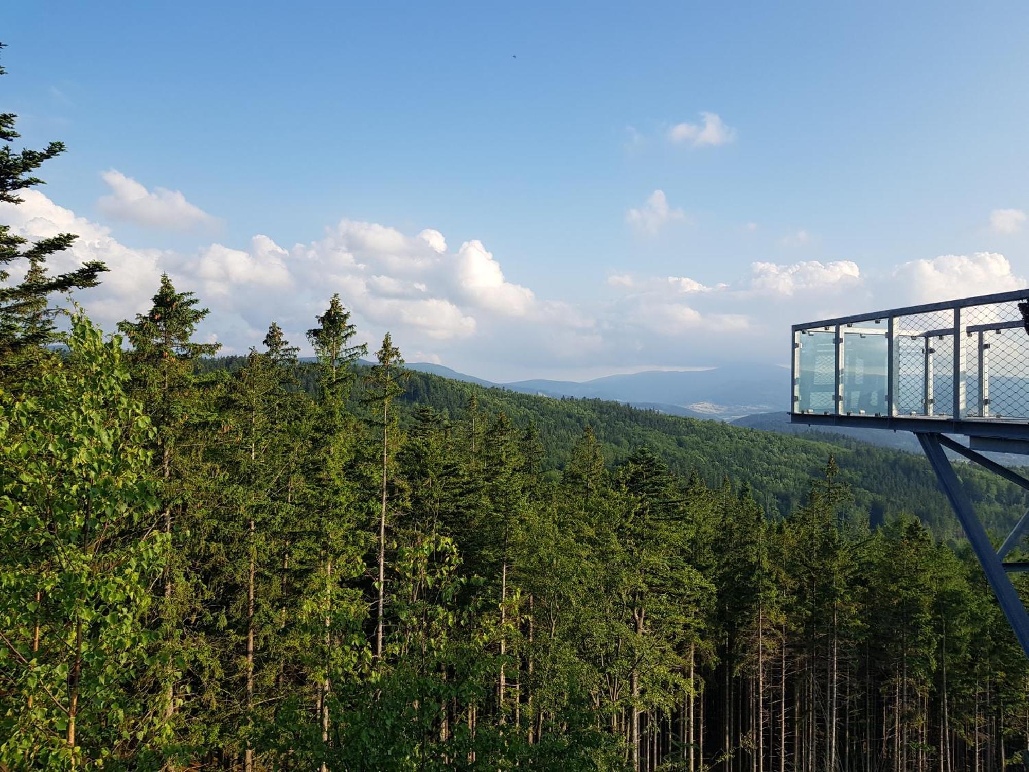 Chata Rafusa Pod Snieznikiem สโตรเนีย ชล็องสเกีย ภายนอก รูปภาพ